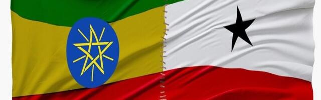 Somaliland’s Deputy Foreign Minister Debunked False Narratives About The MoU With Ethiopia