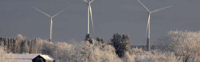 ÜLEVAADE | Tuulikusõja vaheseis: omavalitsuste tahe tuuleparke rajada on hakanud raugema