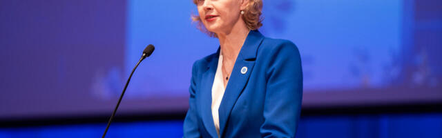 Evelin Poolamets: odava elektri nime all kooritakse tarbijalt mitu nahka