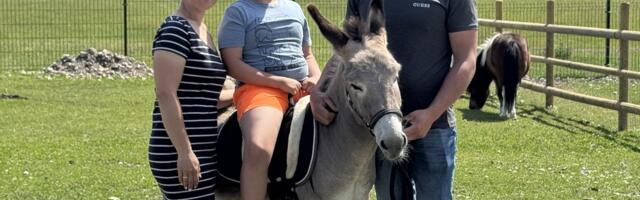 Nuudi hobitalu on PTA töökorraldusest šokis. „Elusad linnud rabelesid kinnistes prügikottides“