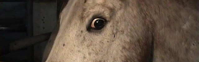 MEEDIAVALVUR: memento Tori!