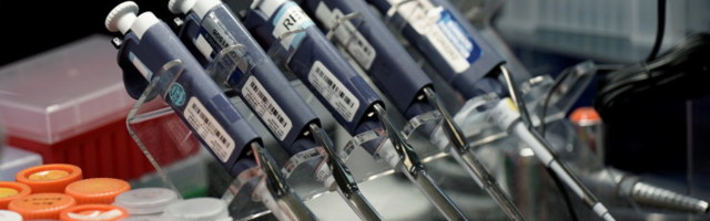 Suur uuring: koroona antikehad püsivad organismis vähemalt neli kuud