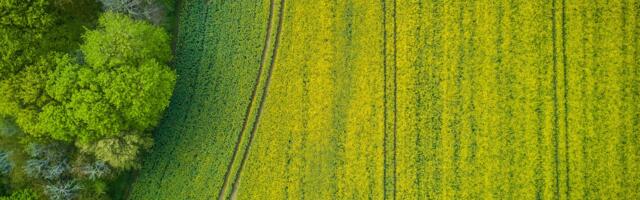 PRIA põldude haldamise teenuses saab nüüdsest pidada ka elektroonset põlluraamatut