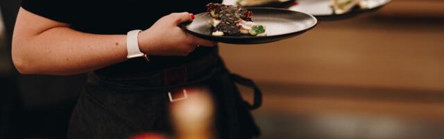 Algab Lõuna-Eesti maitsete kampaania “Metsast taldrikule”