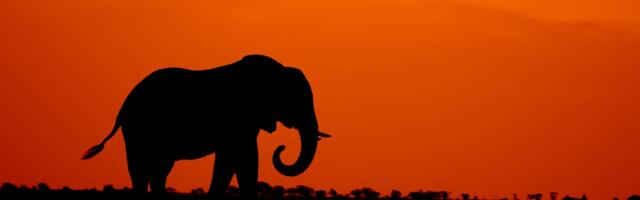 SKANDAALNE! Atso Matsalu korraldusel tasuti Eesti 200 nimekirjaga liitunud saatejuhi promosaate eest volikogu eelarvest