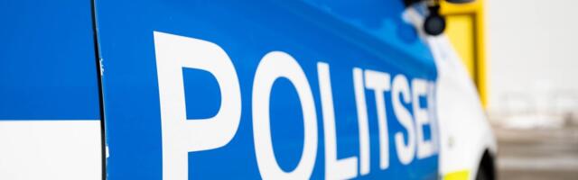 Harjumaal Turbuneemes leiti merekaldale uhutud droonirusud