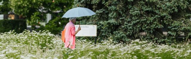 Linnaruumikolumn: Looduse kroon end kliimamuutuse eest ei kaitse