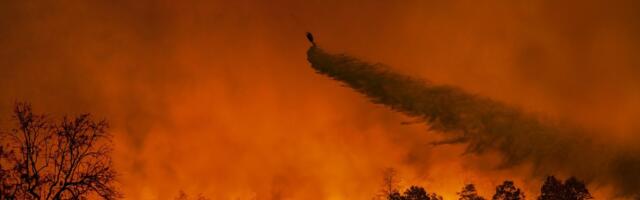 JUHTKIRI | Eesti kui kliimajaanalind. Me ei saa ennast pikalt petta, et probleemi pole