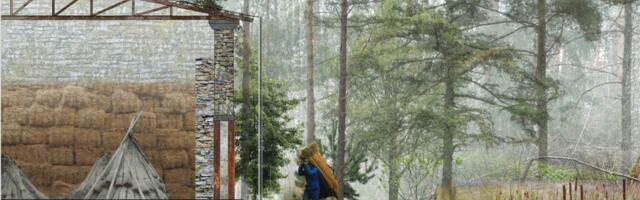 Anarhistlik arhitektuur