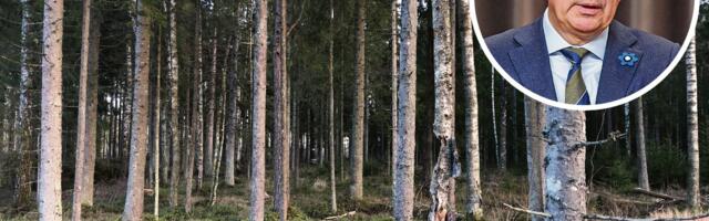 Metsaseadus läheb pausile: minister ei taha konflikti süvendada