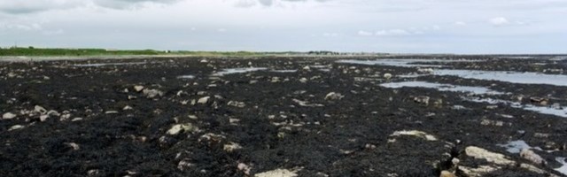 Doggerland – Taanit ja Suurbritanniat ühendanud tükk paradiisi, mis lihtsalt ära uppus