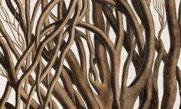 Kumu uus näitus vaatab tänapäevase pilguga ajaloolisi teadusjoonistusi