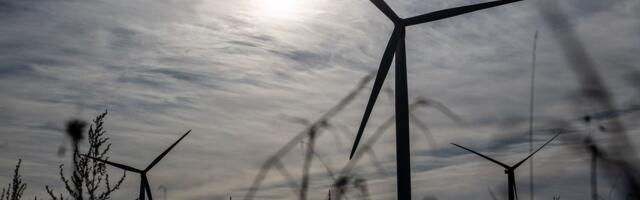 Euroopa Investeerimispank laenab Eestile rohereformiks 300 miljonit