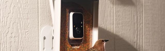 Amazon’s Big Spring Sale is a great time to get a fancy, AI-powered bird feeder