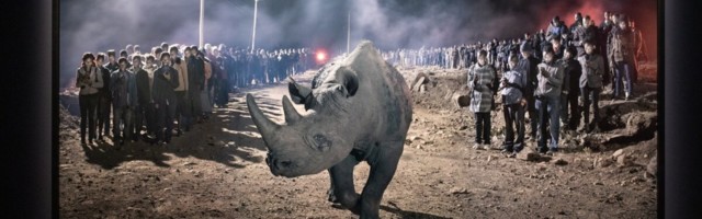 FOTOD | Fotografiska avab uue hooaja maailmakuulsa Nick Brandti loominguga