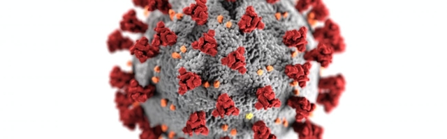 Viirusteooria kahtluse all – kas haigused ilmnevad hoopis mürkidele reageerimise tagajärjena?