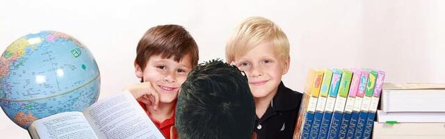 Karol Kallas: tehisaru on kirjaoskamatuse kõrval tühine mure