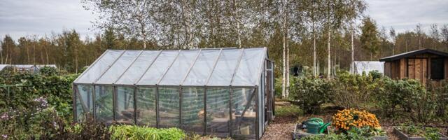 LUGEJA KÜSIB | Kuidas jagada maaomaniku pärandit nii, et maaomand säiliks tervikuna?