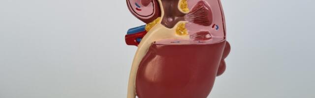 Seaneerust loobuma pidanud mees sai inimneeru