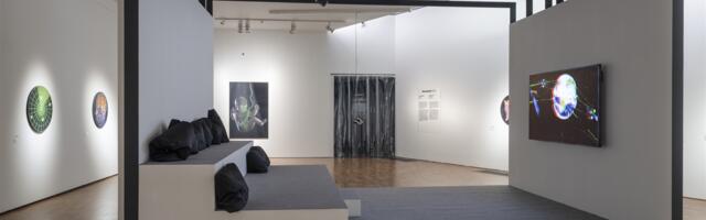 Kui aru, siis tehis?