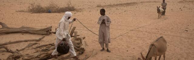 Tšaadis on tülis kaevu pärast hukkunud 42 inimest