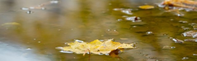 Tänavune november oli Eesti kliimaajaloo kõige soojem