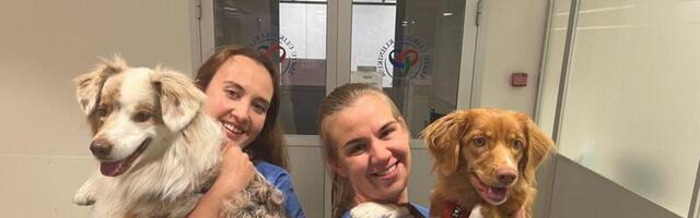 Töörõõmuspetsialistid erakorralise meditsiini osakonnas