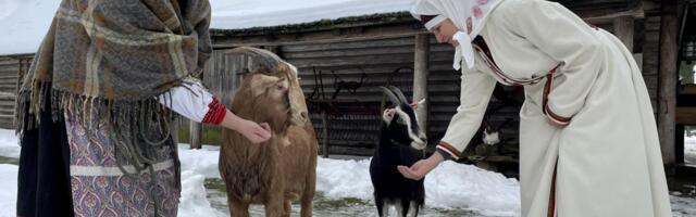 Vana-uusaasta pidu Setomaal