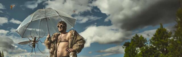 Festivalide antimanifest 