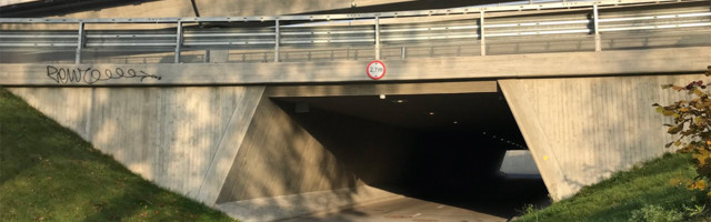 Tallinna Loomaaia ja Suurhalli tunnelitesse rajatakse muudetav kujundvalgustus