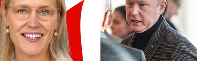 Sotsiaaldemokraadi väitel lokkab Rae volikogus agressiivne ja seksistlik suhtlusviis. Võrklaeva sõnul on see laim