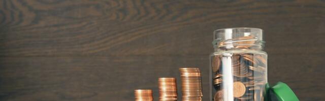 Kas IKT-ettevõtjad peaksid palgaralli tõttu kasumit rohkem töötajatega jagama?