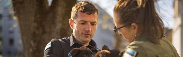 Lõuna prefektuuri koertegrupiga liitusid  kaks uut karvast nöbinina - Picasso ja Pikachu