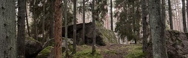 JUHTKIRI | Kui eige nonniks