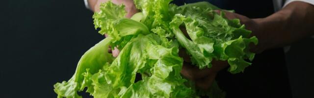 Salatist saab suvestaar! 8 nutikat nõuannet