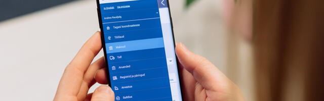 Sul on tekkinud küsimus tulude deklareerimise kohta? Esita see siin!