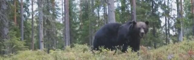 Pühapäevast hakkavad kehtima jahieeskirja muudatused