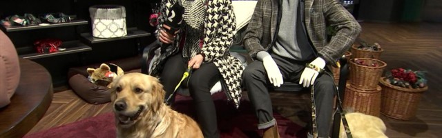 Reporter: Kaubamaja avas pop-up loomapoed, kuhu oodatakse just meie armsaid neljajalgseid lemmikloome.