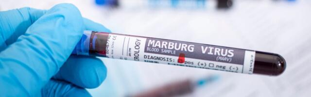 Aafrikas kinnitati kaks Marburgi viiruse juhtumit