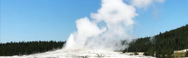 Ida-Virumaa lõhkeainetootja maksab juhile heldelt