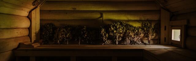 Anne saun Tartus tähistab täna 35. sünnipäeva