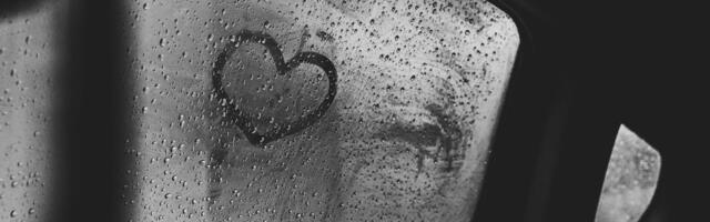 6 head nippi sügishooajal autost liigse niiskuse väljasaamiseks