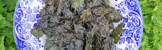 Nõges pane supi sisse või krõbista krõpsuna