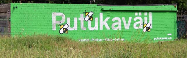 Laupäeval saab lähemalt tutvuda loodava Putukaväila lineaarpargiga