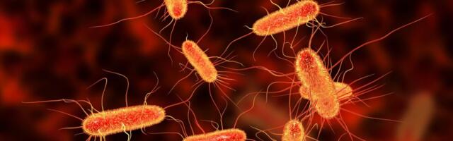 Oksendamist ja kõhuhäda Kuressaares võib põhjustada saastunud kraanivesi