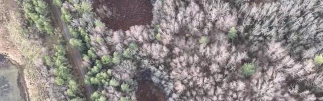 Haapsalus tekkis kehtiva detailplaneeringuga alale ehituskeeluala