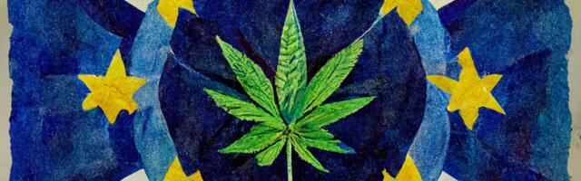 ÜLEVAADE ⟩ Uimakanepi turu reguleerimine Euroopas: kuhu oleme jõudnud?