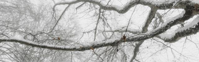 Lõuna päästekeskuse päästjatel oli töine nädalavahetus