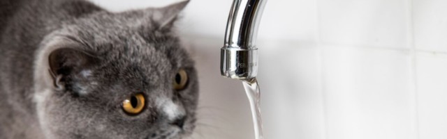 Tootjahinnad kahanesid aastaga