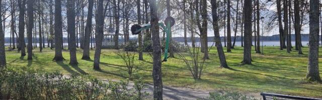 PILTUUDIS: Bolti tõuks puu otsas Võrus